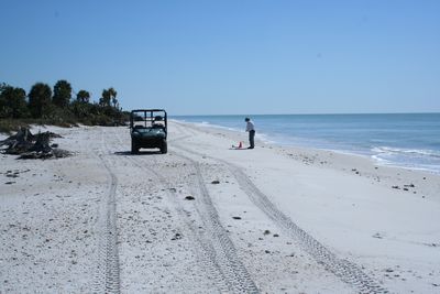 CR-24 View to the South