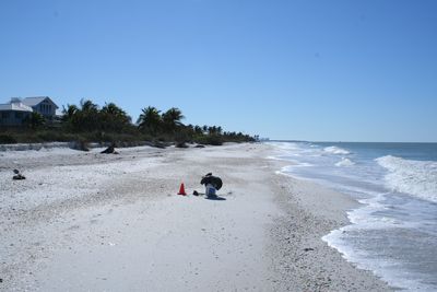 CR-28 View to the South